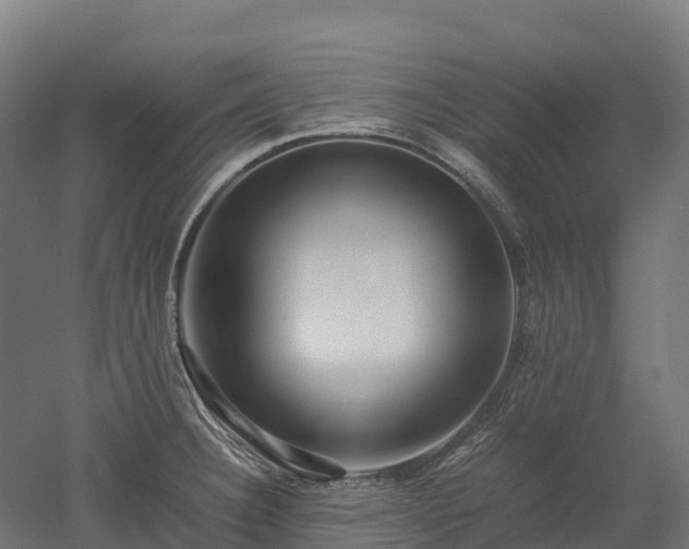 X0000052951332200507151659