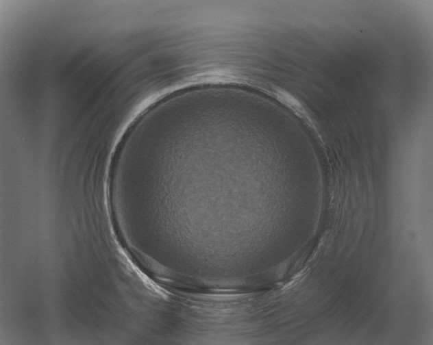 X0000052951334200507151659