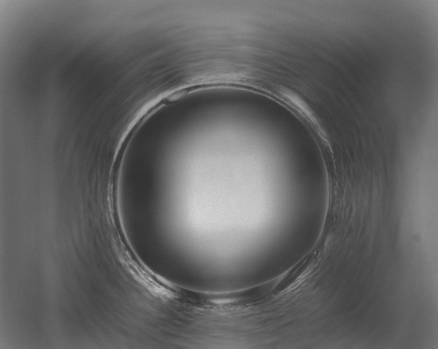 X0000052951340200507151659