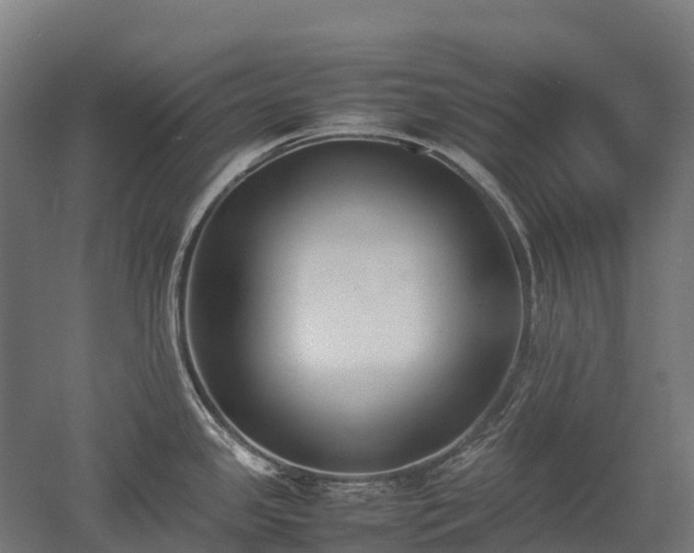 X0000052951341200507151659