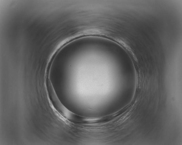 X0000052951342200507151659