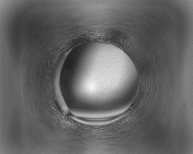 X0000052951345200507151658