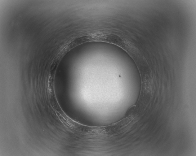 X0000052951346200507151658
