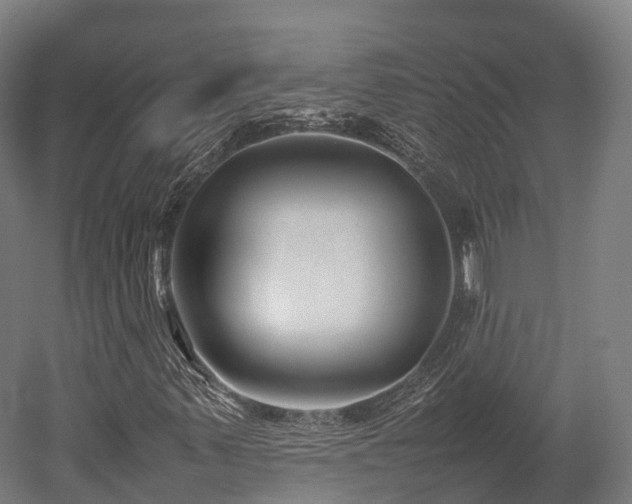 X0000052951347200507151658