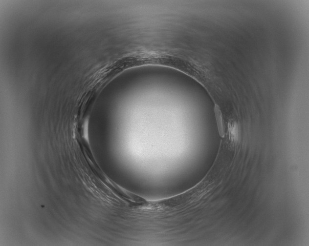 X0000052951348200507151658
