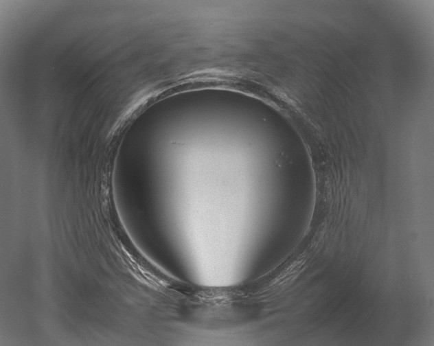 X0000052951355200507151658