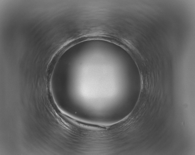 X0000052951356200507151658