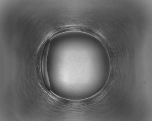 X0000052951357200507151658