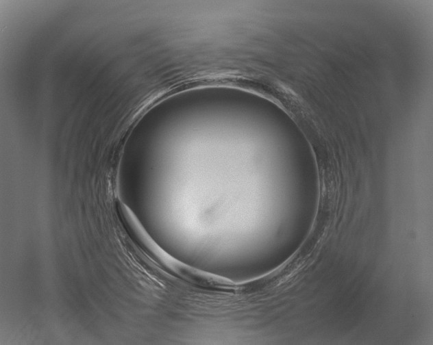 X0000052951361200507151658