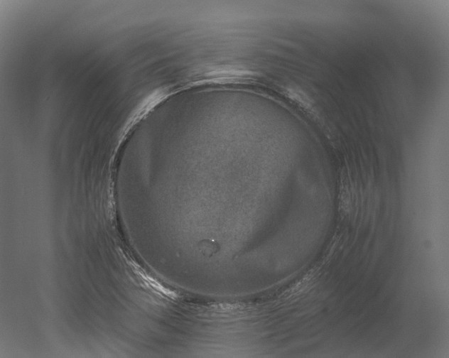 X0000052951362200507151658