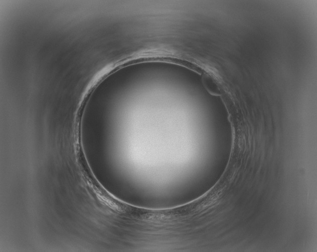 X0000052951366200507151658