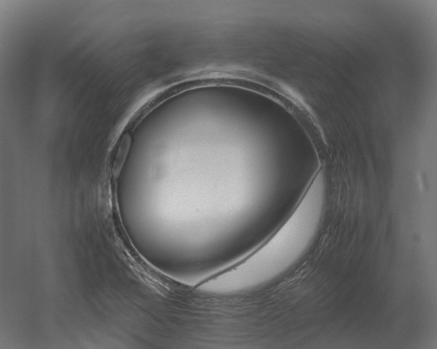 X0000052951368200507151658