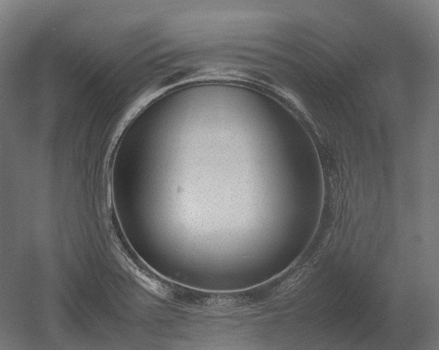 X0000052951371200507151658