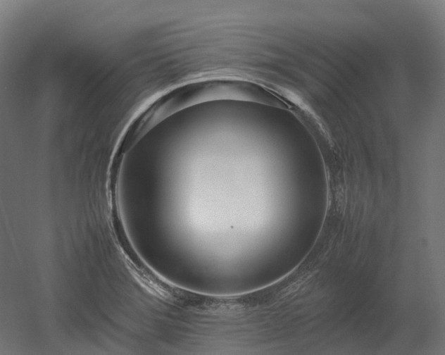X0000052951372200507151658