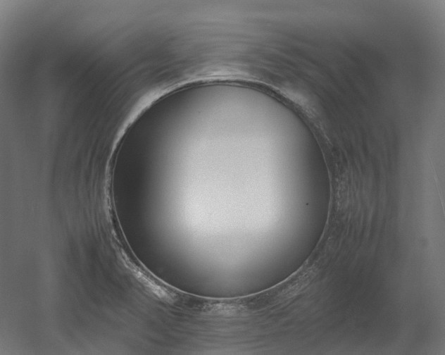 X0000052951374200507151658