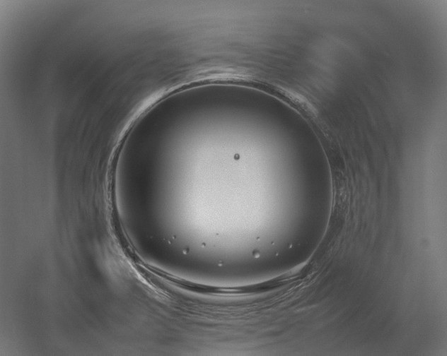 X0000052951375200507151658