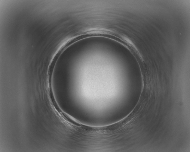 X0000052951376200507151658