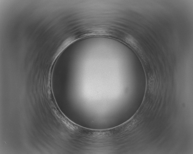 X0000052951378200507151658