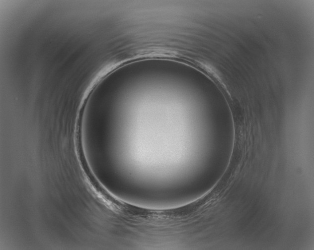 X0000052951379200507151658
