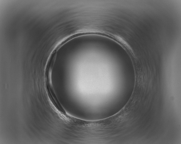 X0000052951380200507151658
