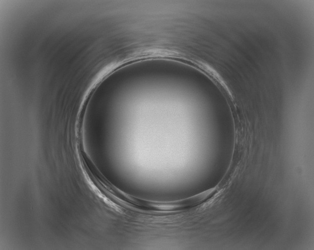 X0000052951381200507151658