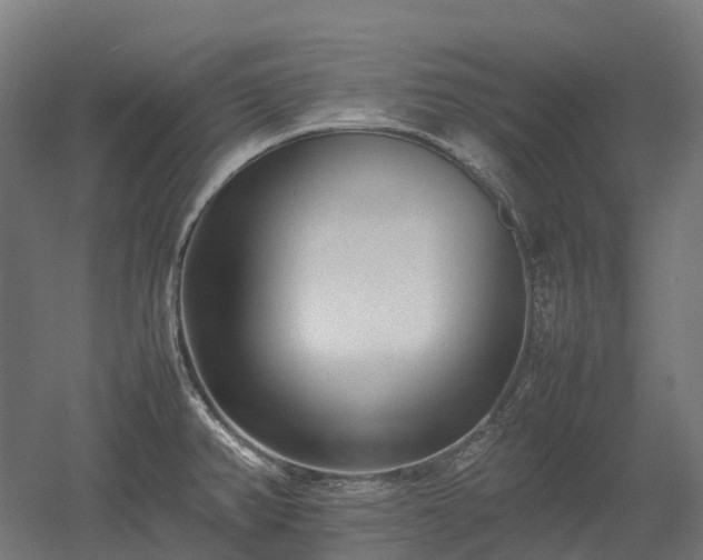X0000052951382200507151658