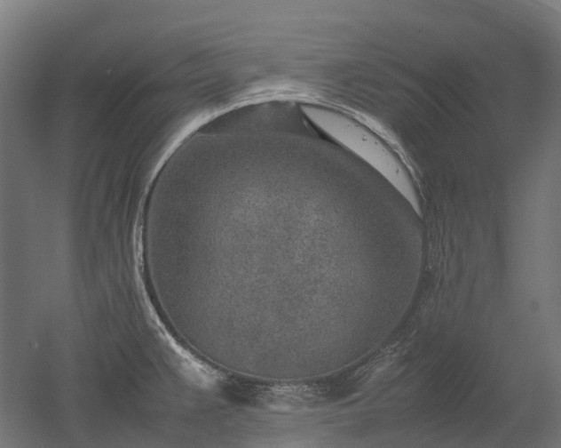 X0000052951383200507151658