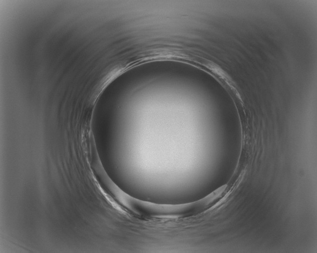 X0000052951385200507151658