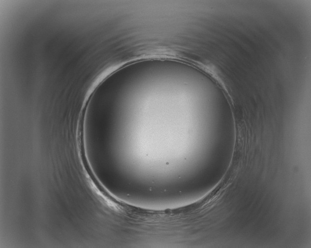 X0000052951387200507151658