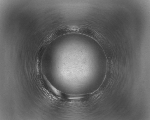 X0000052951394200507151657