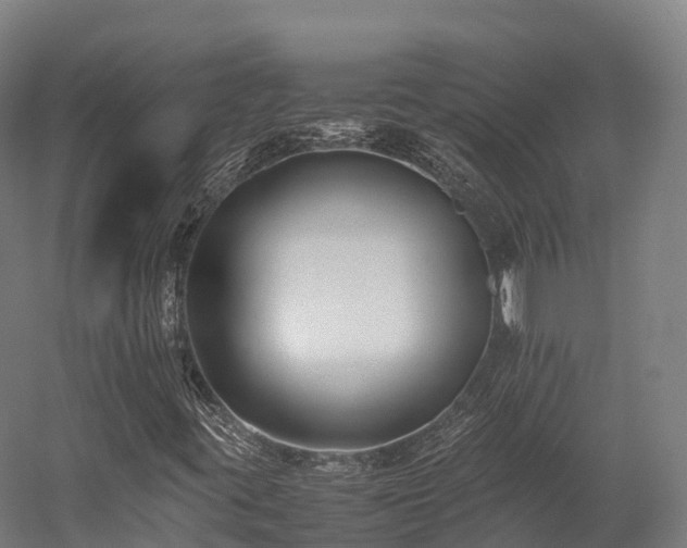 X0000052951395200507151657