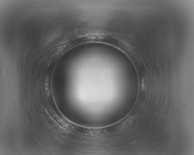 X0000052951396200507151657