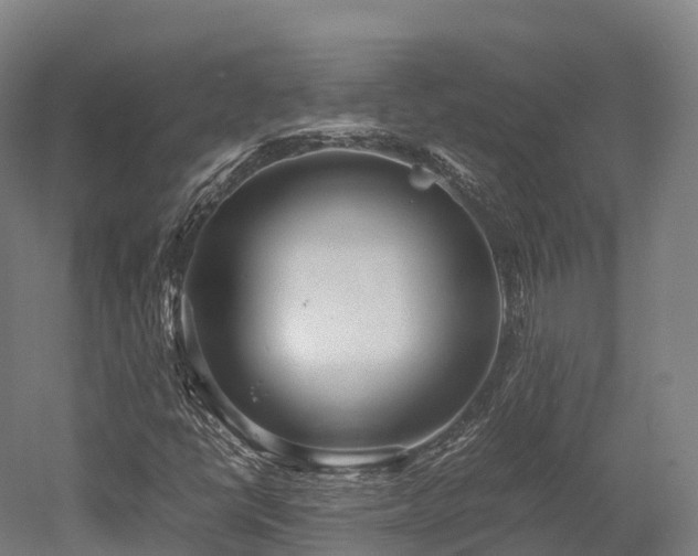 X0000052951398200507151657