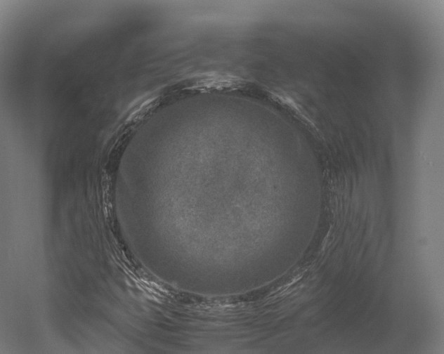 X0000052951399200507151657