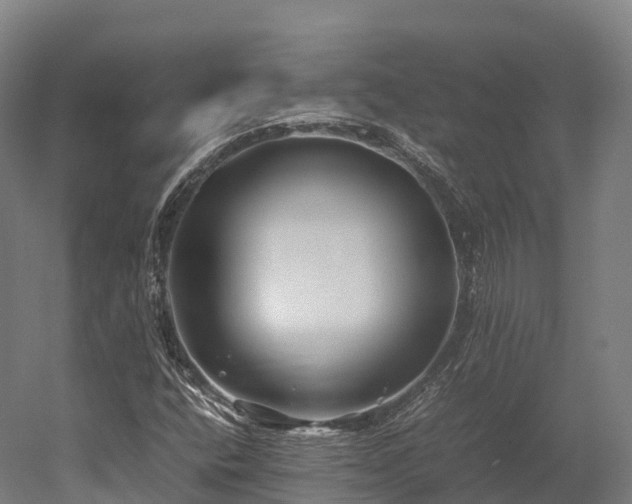 X0000052951400200507151657