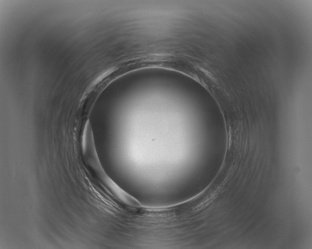 X0000052951402200507151657