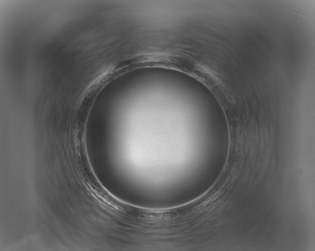 X0000052951403200507151657