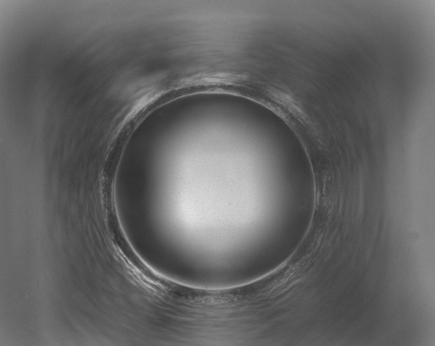 X0000052951404200507151657
