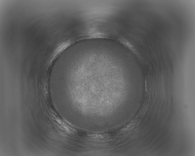 X0000052951405200507151657
