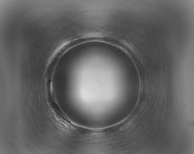 X0000052951406200507151657