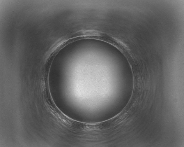 X0000052951407200507151657