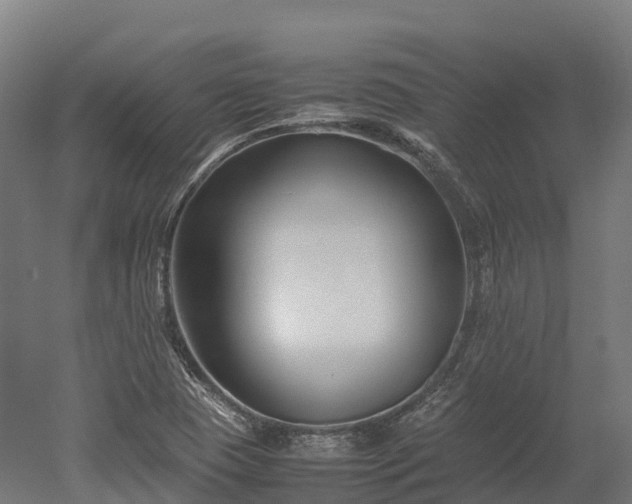 X0000052951409200507151657