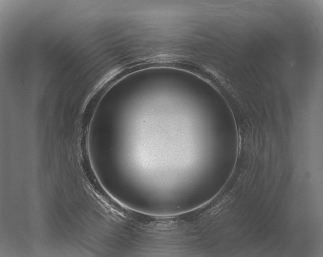 X0000052951410200507151657