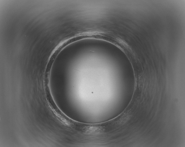 X0000052951412200507151657