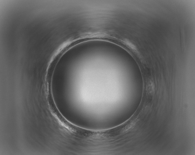 X0000052951414200507151657
