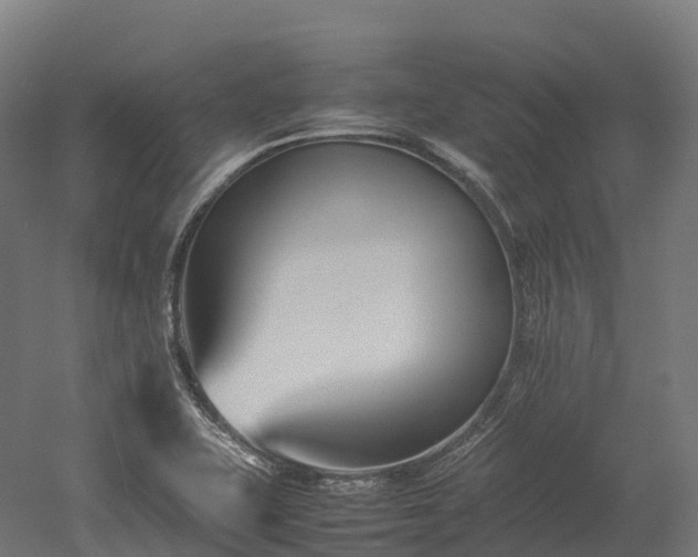 X0000052951415200507151657