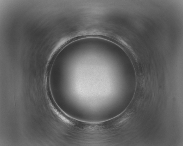 X0000052951416200507151657