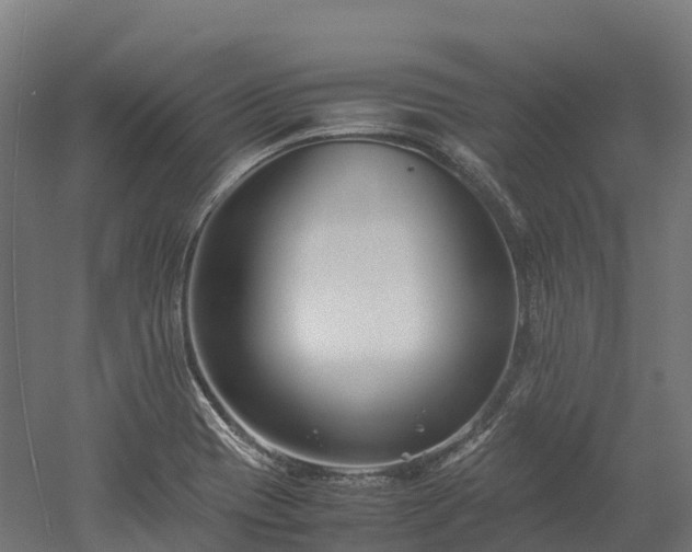 X0000052951417200507151657