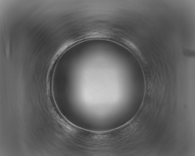 X0000052951419200507151657