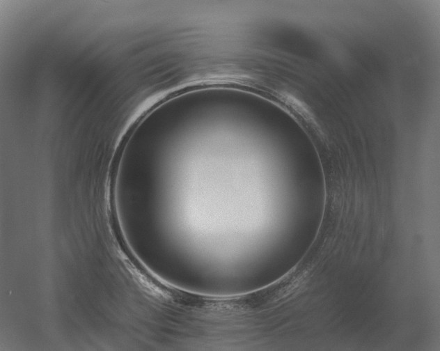 X0000052951420200507151657